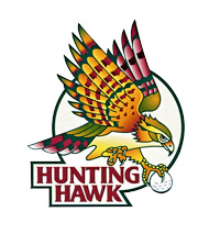 Hunting Hawk