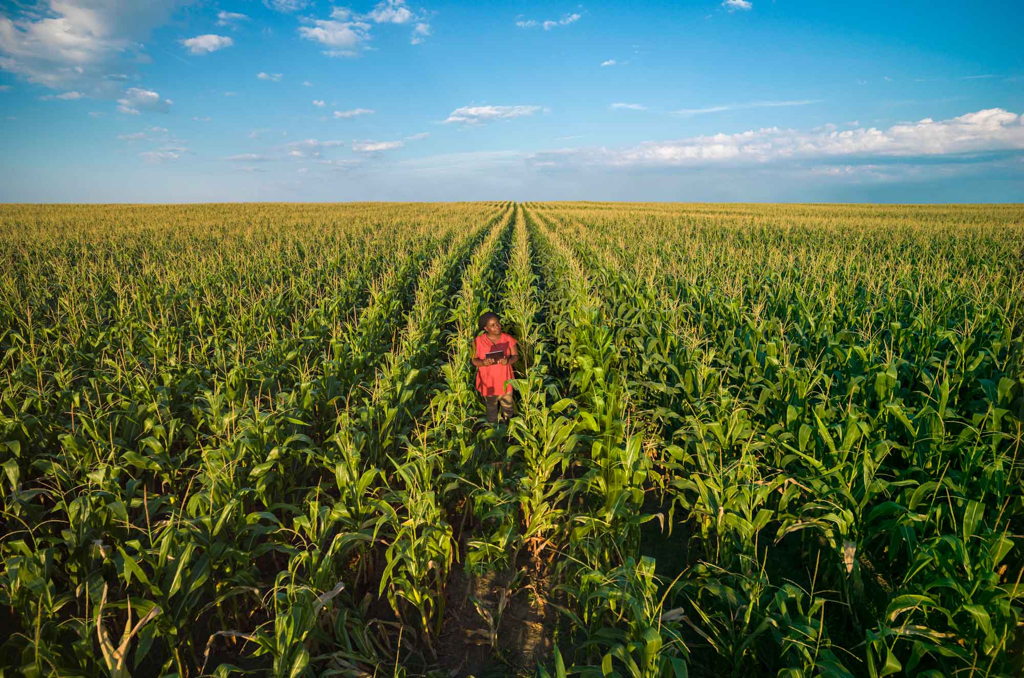 Tatenda Ndambakuwa field support background