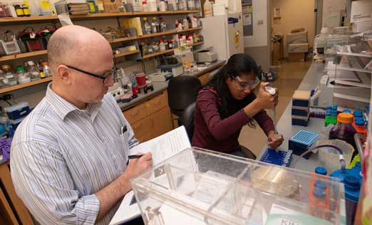 photo of Massey researcher Joseph Landry